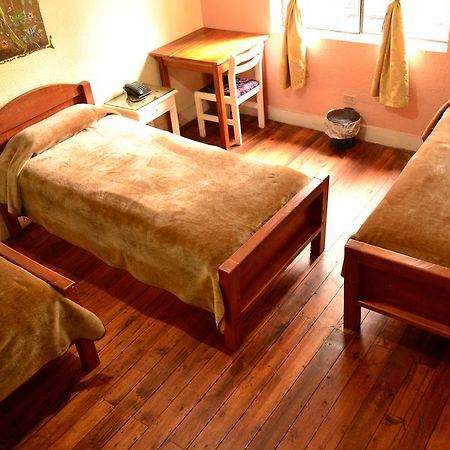 كويتو Hostal Loro Verde المظهر الخارجي الصورة